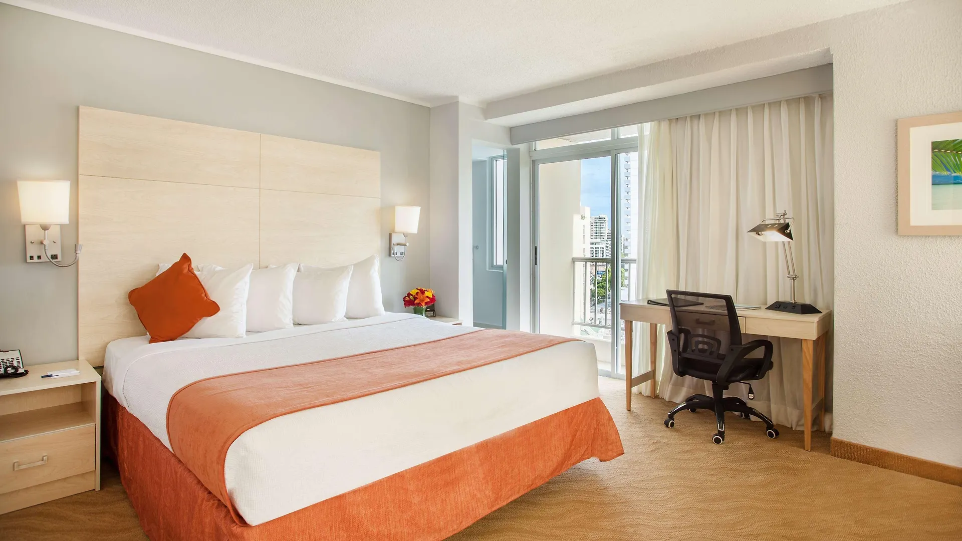 Hotel Condado Palm Inn San Juan, Tapestry Collection By Hilton