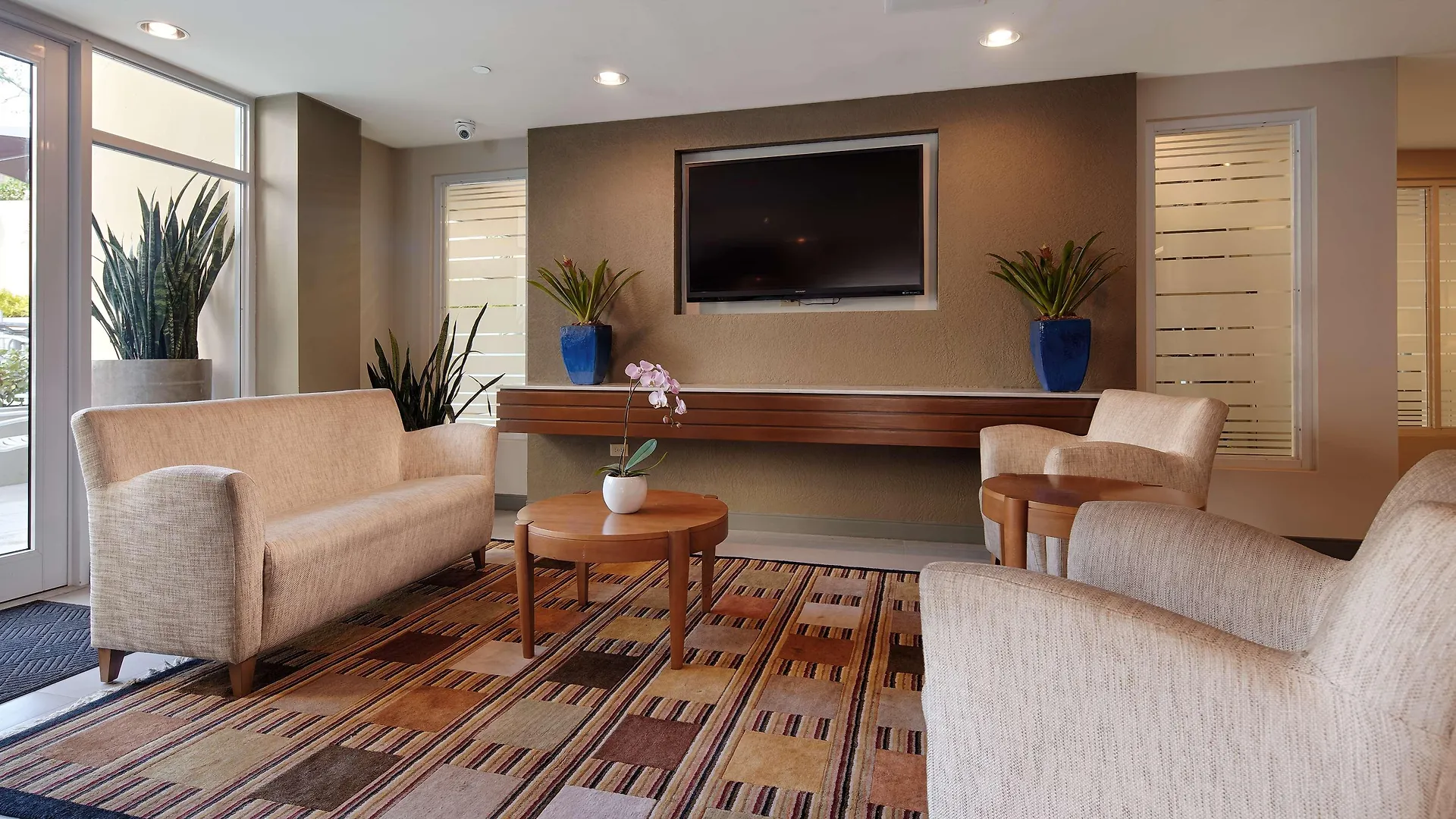Condado Palm Inn San Juan, Tapestry Collection By Hilton Hotel