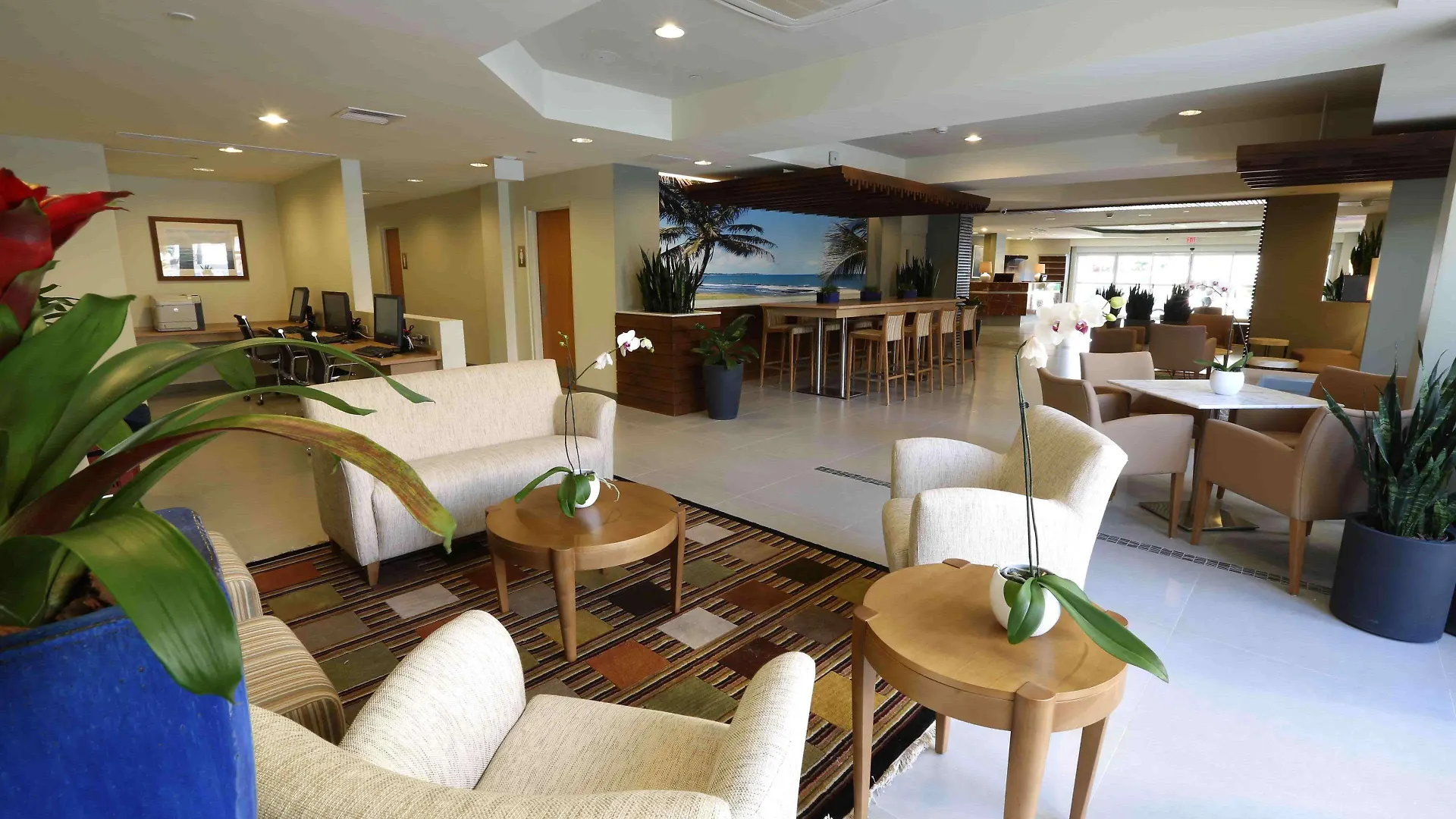 Condado Palm Inn San Juan, Tapestry Collection By Hilton