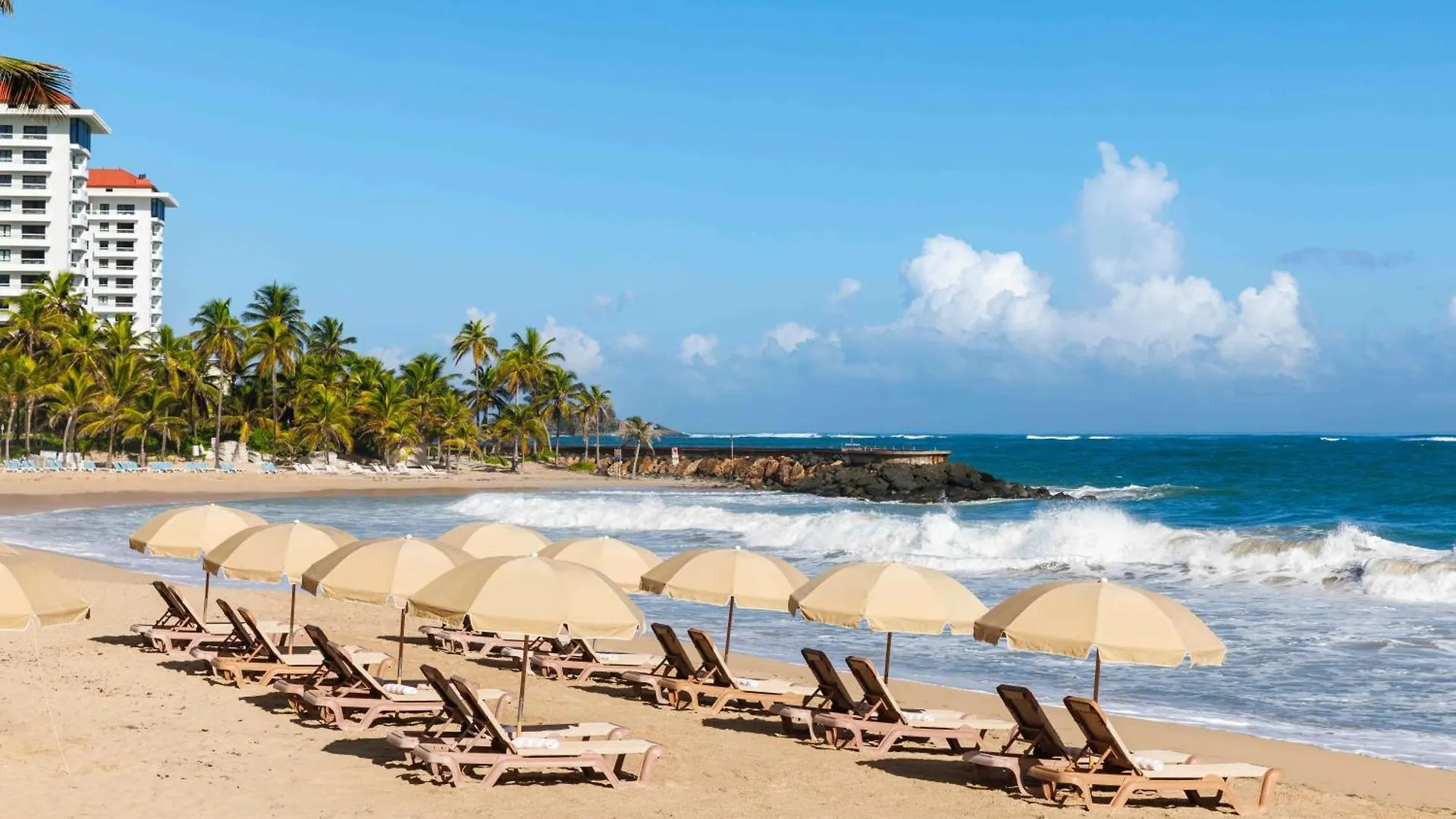 Condado Palm Inn San Juan, Tapestry Collection By Hilton Hotel