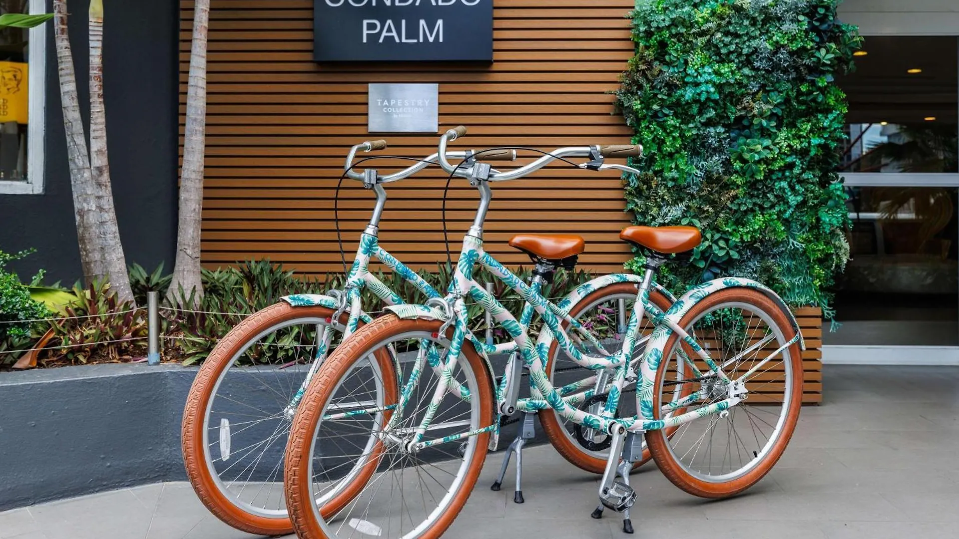 Hotel Condado Palm Inn San Juan, Tapestry Collection By Hilton